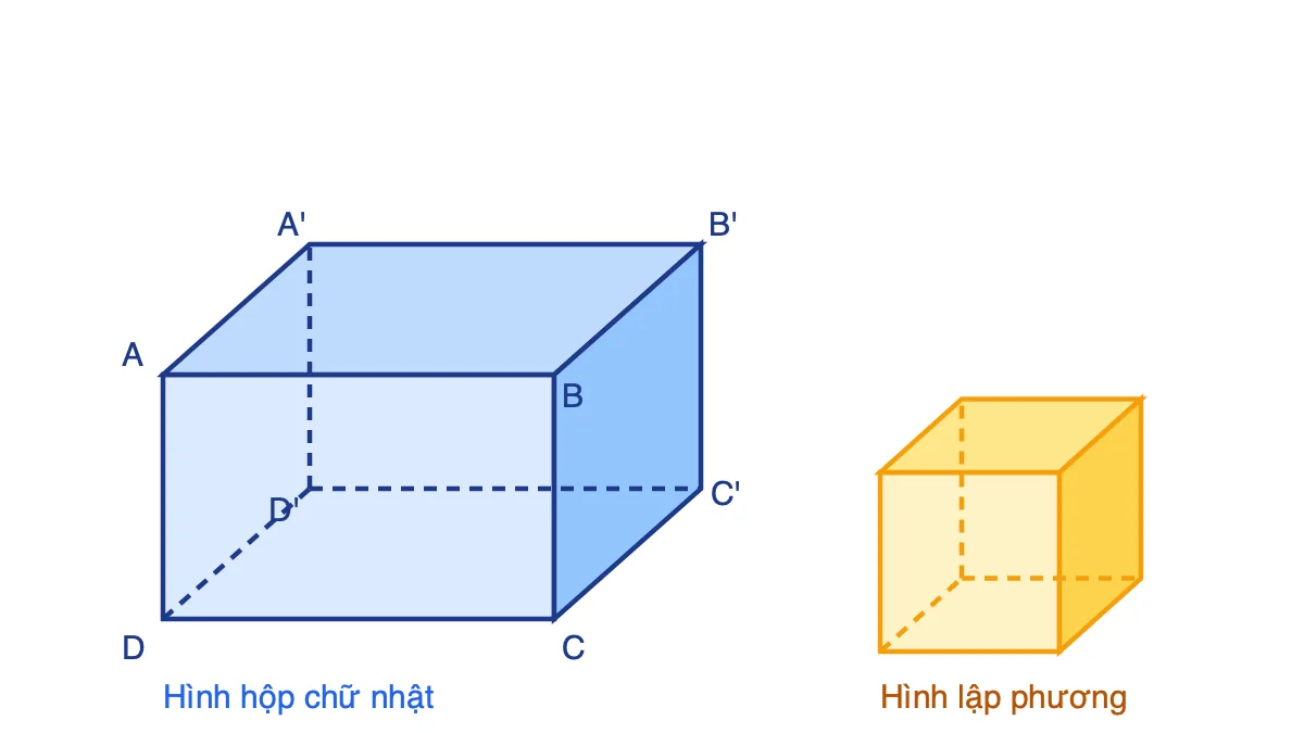 Hình hộp chữ nhật và hình lập phương với nét đứt cho cạnh bị che