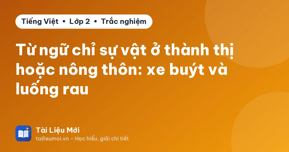Từ ngữ chỉ sự vật ở thành thị hoặc nông thôn: xe buýt và luống rau