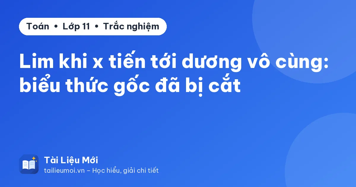 Lim khi x tiến tới dương vô cùng: biểu thức gốc đã bị cắt
