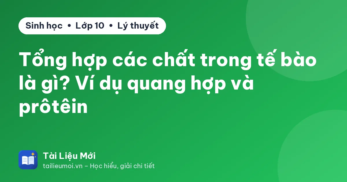 Tổng hợp các chất trong tế bào là gì? Ví dụ quang hợp và prôtêin