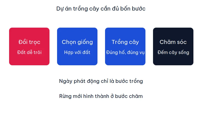 Bốn bước của dự án: đồi trọc, chọn giống hợp đất, trồng đúng hố, chăm sóc và đếm cây sống