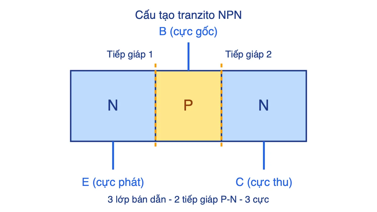 Sơ đồ cấu tạo tranzito NPN gồm ba lớp N-P-N, hai tiếp giáp P-N và ba cực E, B, C