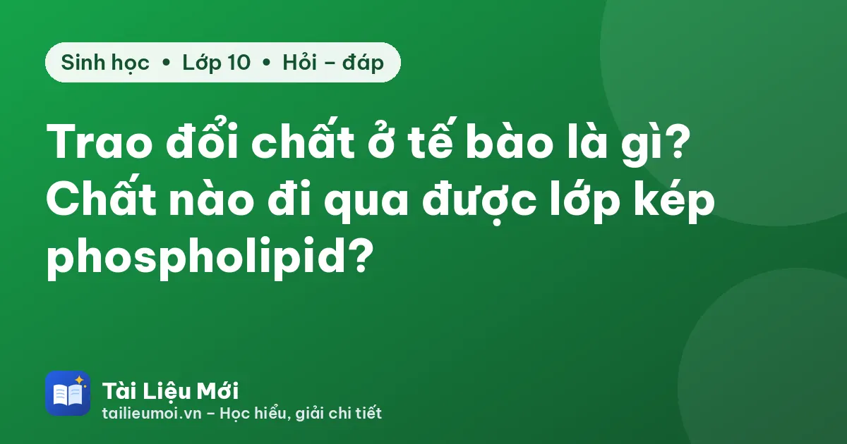 Trao đổi chất ở tế bào là gì? Chất nào đi qua được lớp kép phospholipid?