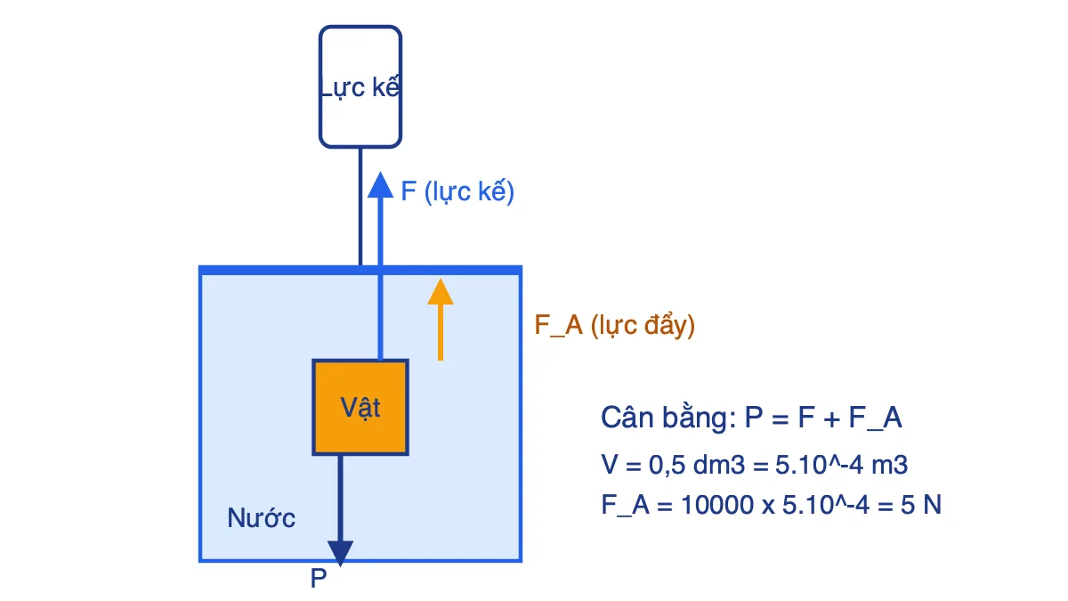 Sơ đồ vật treo vào lực kế nhúng chìm trong nước chịu ba lực P, F và F_A