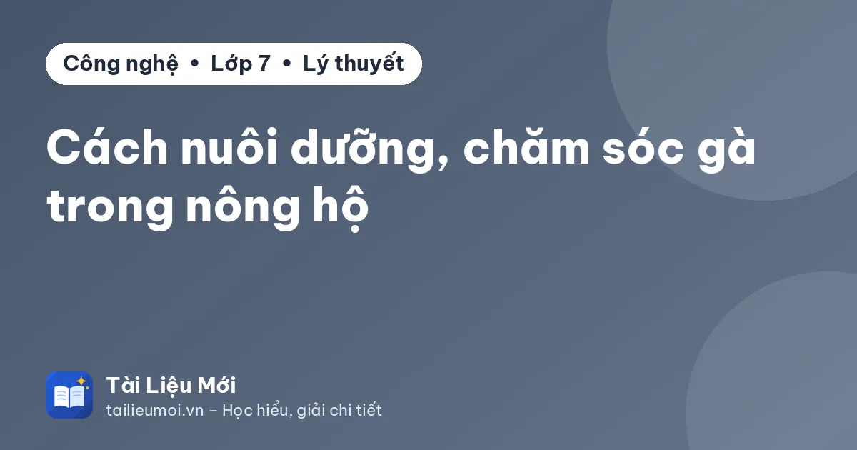 Cách nuôi dưỡng, chăm sóc gà trong nông hộ