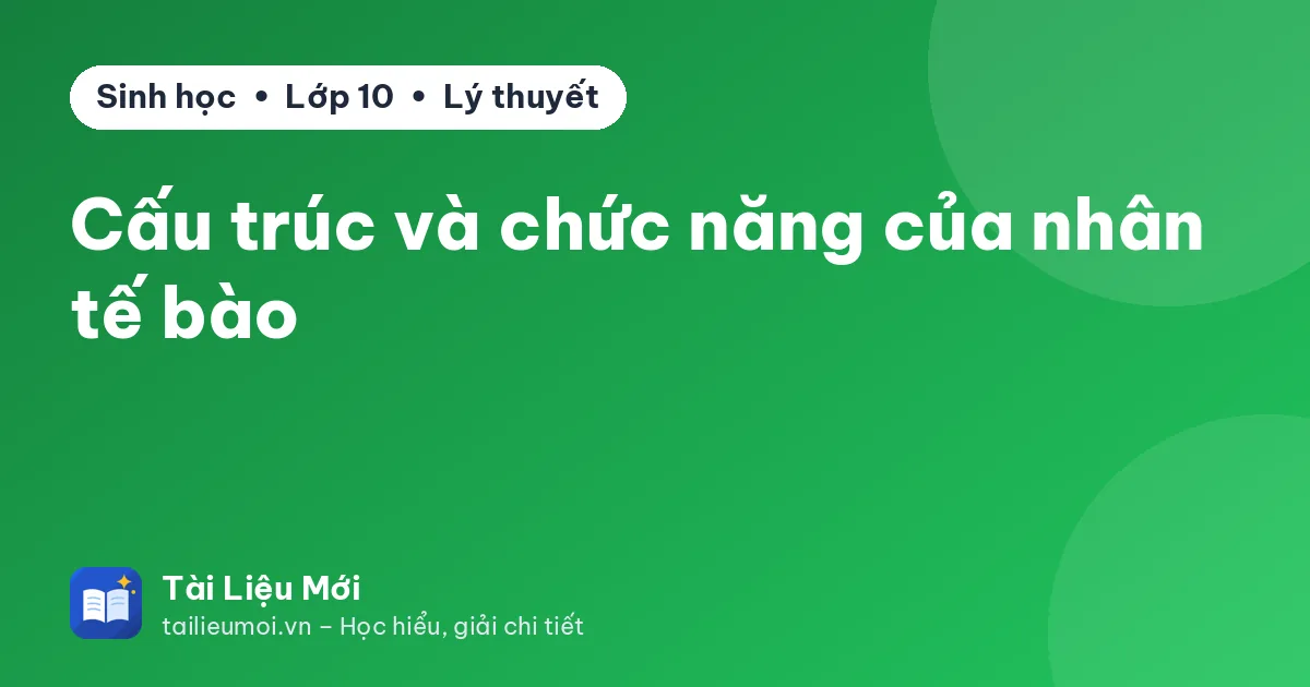 Cấu trúc và chức năng của nhân tế bào