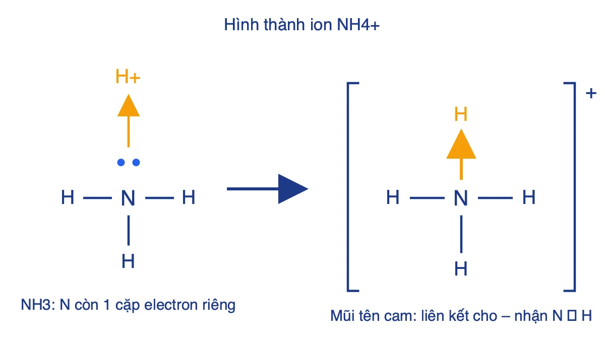 Sơ đồ NH3 nhường cặp electron cho H+ tạo ion NH4+ với công thức Lewis
