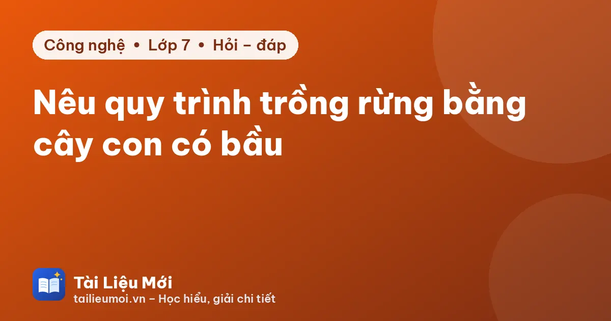 Nêu quy trình trồng rừng bằng cây con có bầu