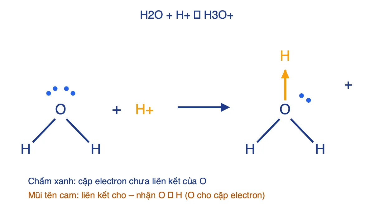 Sơ đồ H2O nhận H+ tạo ion H3O+ bằng liên kết cho – nhận