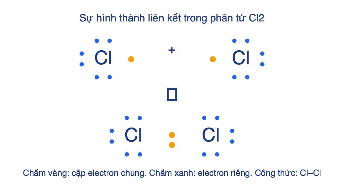 Sơ đồ hai nguyên tử Cl góp chung một cặp electron tạo phân tử Cl2 với 3 cặp electron riêng mỗi nguyên tử