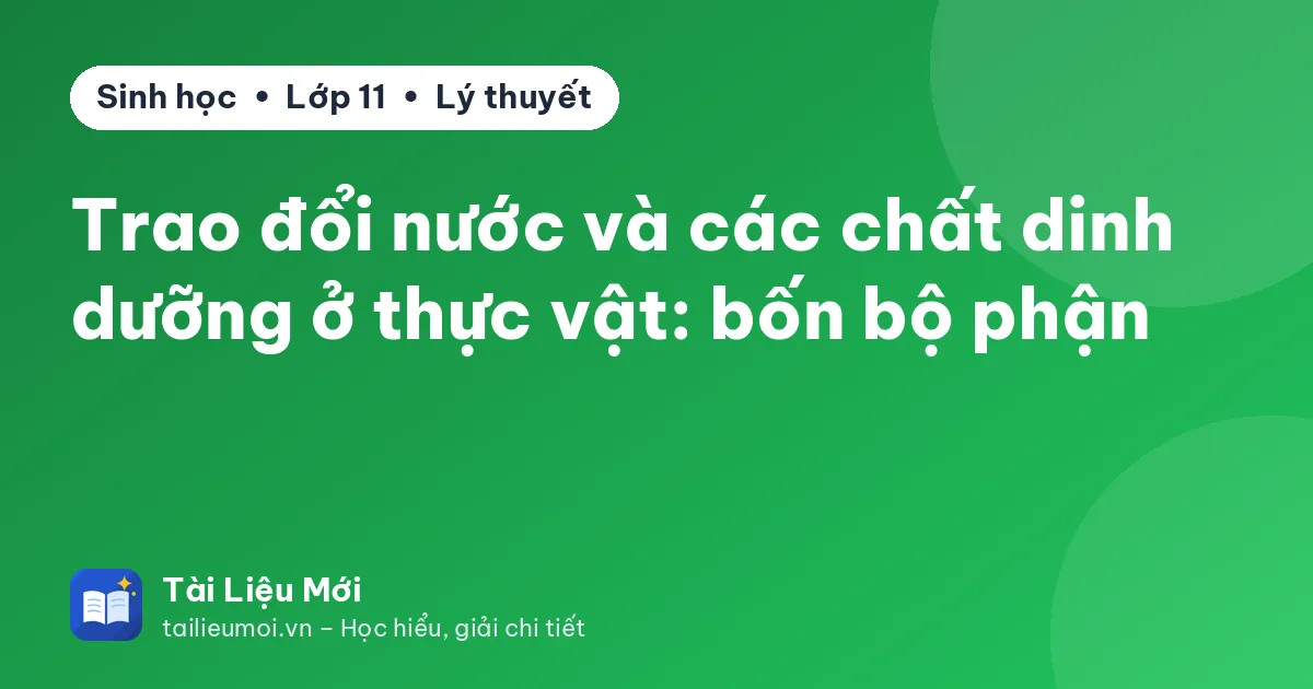 Trao đổi nước và các chất dinh dưỡng ở thực vật: bốn bộ phận