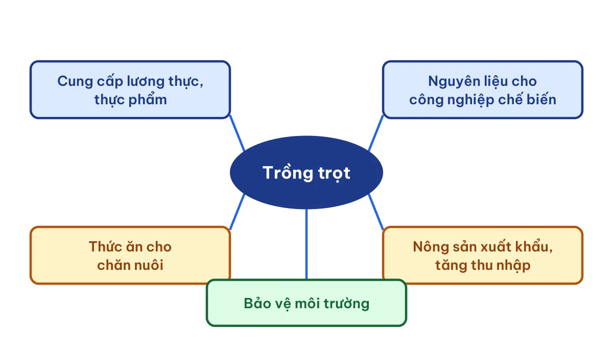 Sơ đồ tư duy vai trò của trồng trọt: lương thực thực phẩm, nguyên liệu, thức ăn chăn nuôi, xuất khẩu, môi trường