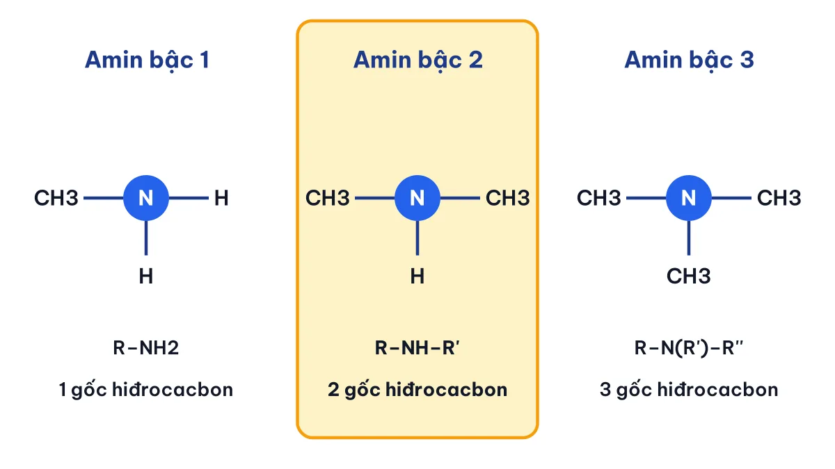 Sơ đồ phân biệt amin bậc 1, amin bậc 2 và amin bậc 3 theo số gốc hiđrocacbon gắn với N