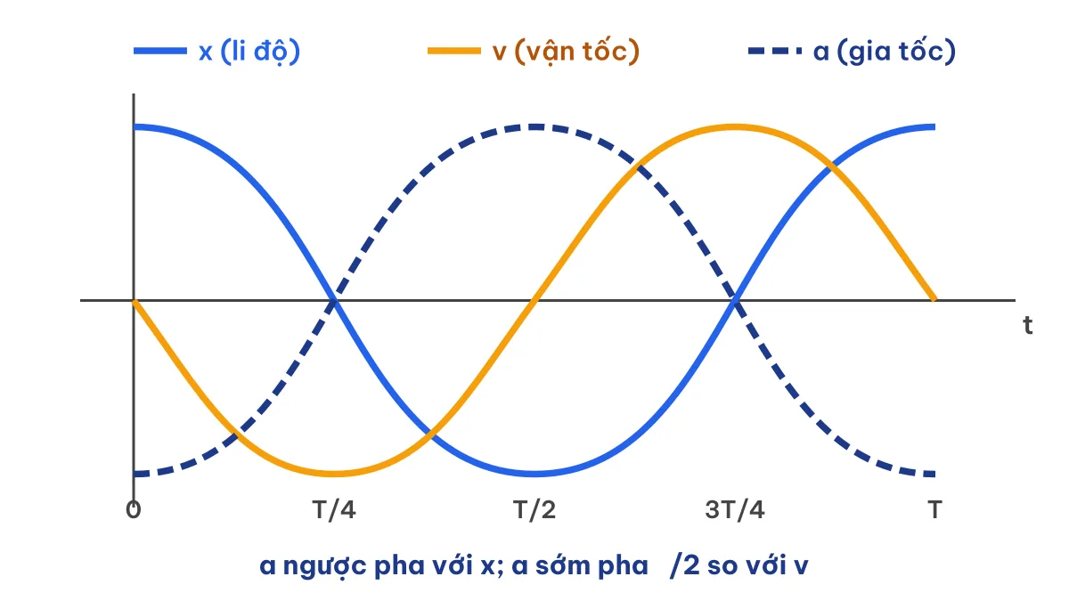 Đồ thị li độ, vận tốc, gia tốc theo thời gian trong dao động điều hòa: gia tốc ngược pha với li độ
