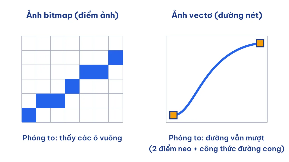 So sánh ảnh bitmap xác định theo điểm ảnh và ảnh vectơ xác định theo đường nét