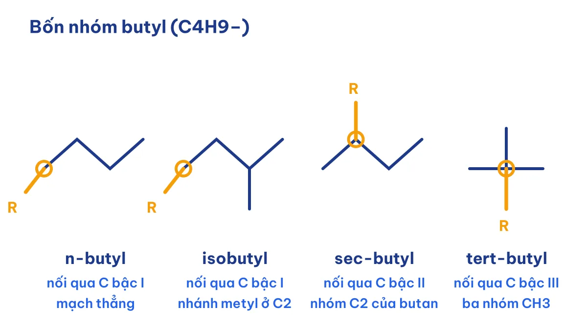 Bốn nhóm butyl n-butyl isobutyl sec-butyl tert-butyl và bậc cacbon nối với R