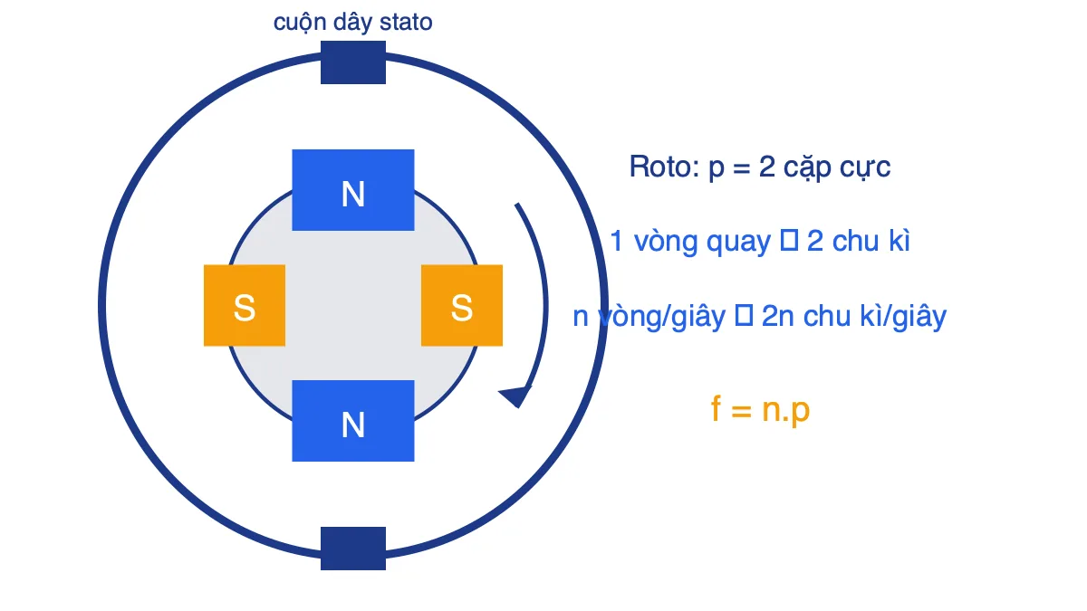Roto có hai cặp cực N-S-N-S quay trong stato có cuộn dây