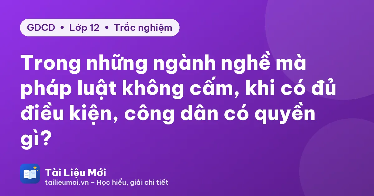 Trong những ngành nghề mà pháp luật không cấm, khi có đủ điều kiện, công dân có quyền gì?