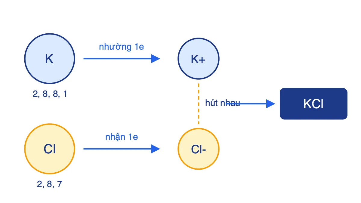 Sơ đồ K nhường 1 electron thành K+, Cl nhận 1 electron thành Cl-, hai ion hút nhau tạo KCl