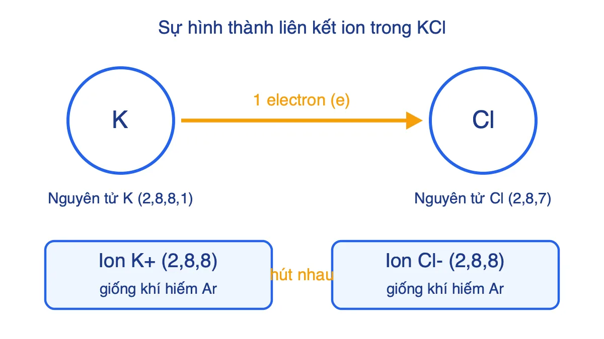 Sơ đồ nguyên tử K nhường 1 electron cho nguyên tử Cl tạo ion K+ và Cl- trong KCl