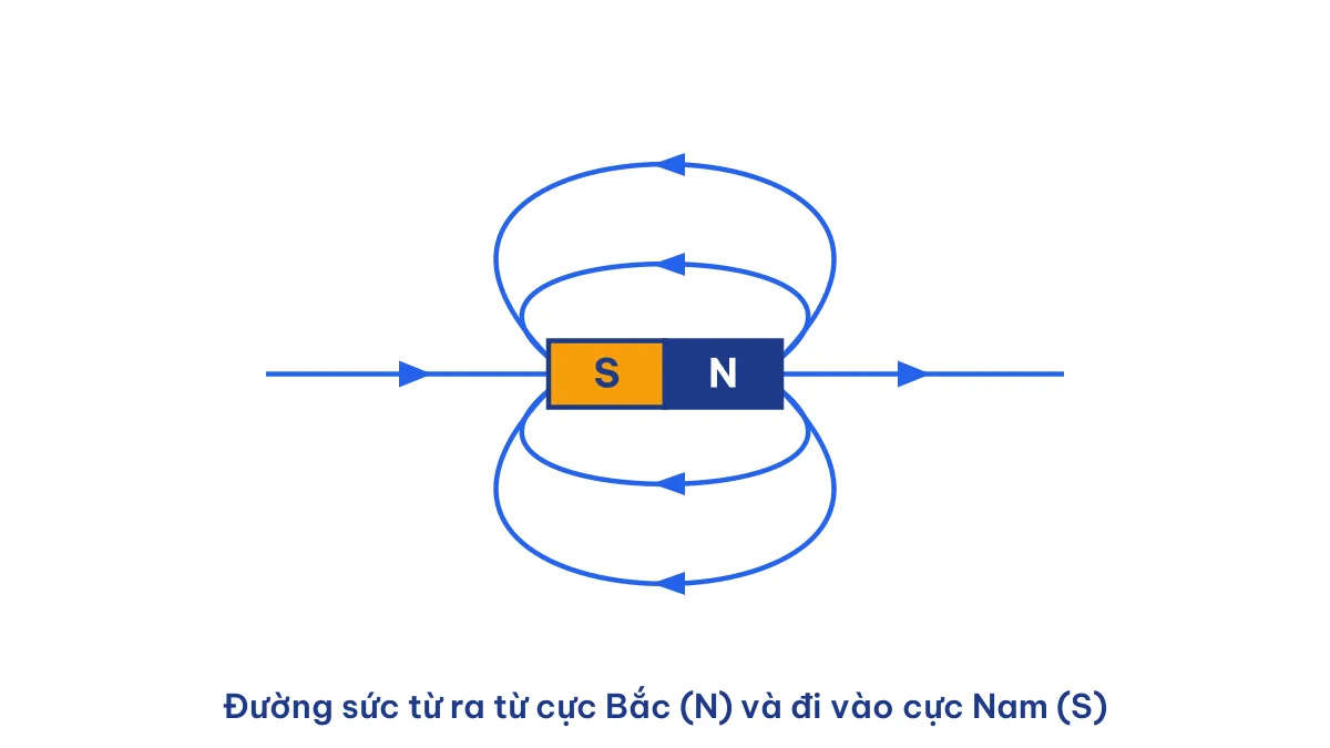 Đường sức từ quanh thanh nam châm cho biết từ trường tồn tại ở đâu