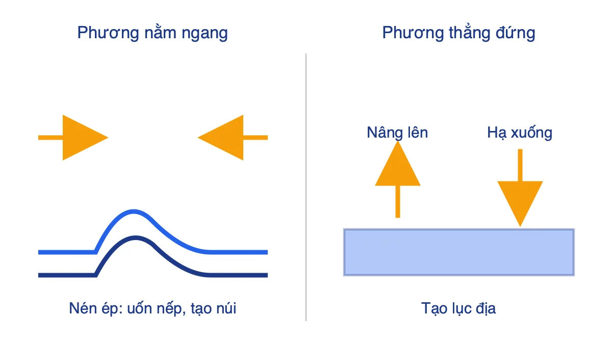 Sơ đồ so sánh vận động theo phương nằm ngang tạo nếp uốn và vận động theo phương thẳng đứng nâng lên, hạ xuống