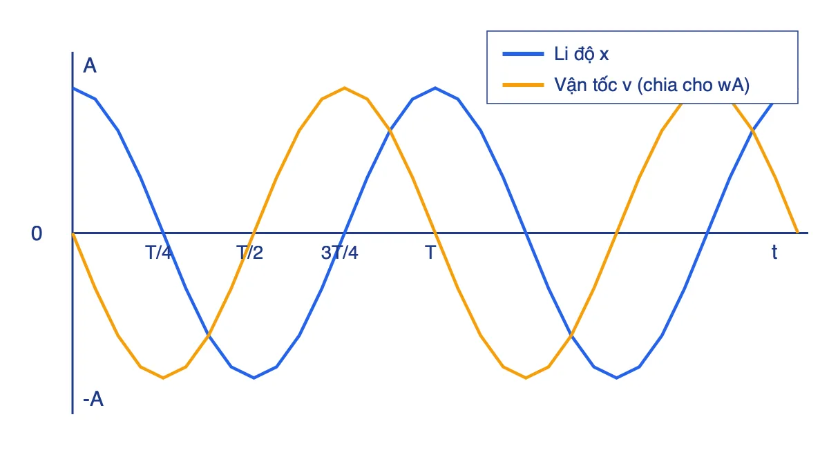 Đồ thị li độ x và vận tốc v theo thời gian trong dao động điều hòa, v sớm pha một phần tư chu kì so với x