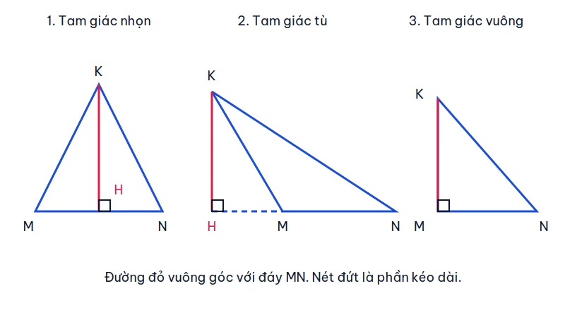 Ba tam giác cùng đáy MN: đường cao nằm trong khi tam giác nhọn, nằm ngoài khi tam giác tù, và trùng cạnh góc vuông khi tam giác vuông