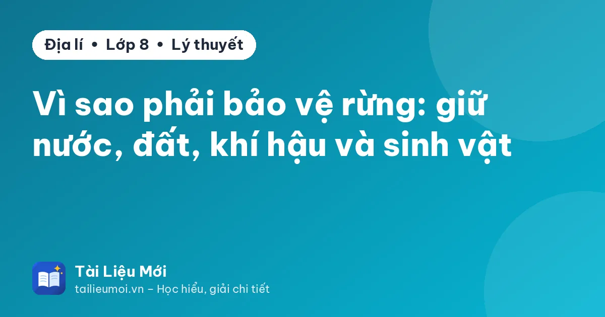 Vì sao phải bảo vệ rừng: giữ nước, đất, khí hậu và sinh vật