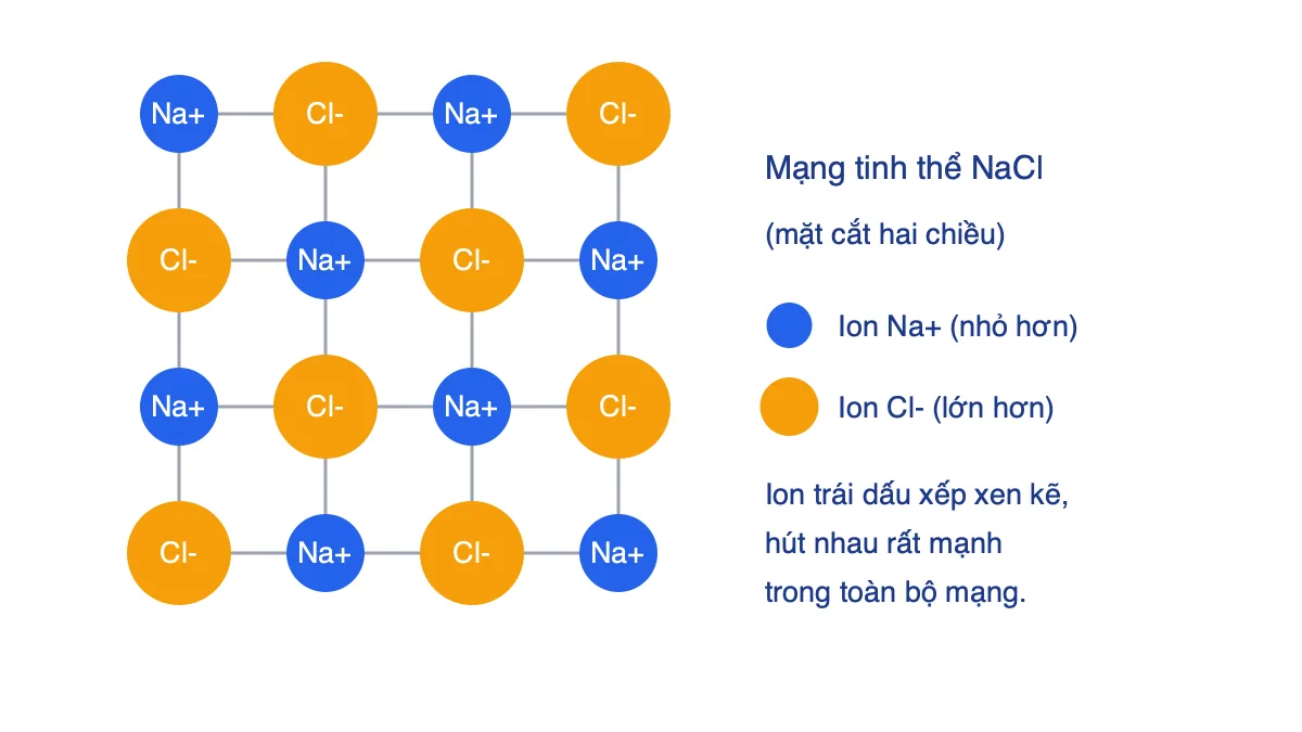 Sơ đồ mặt cắt mạng tinh thể NaCl với các ion Na+ và Cl- xếp xen kẽ