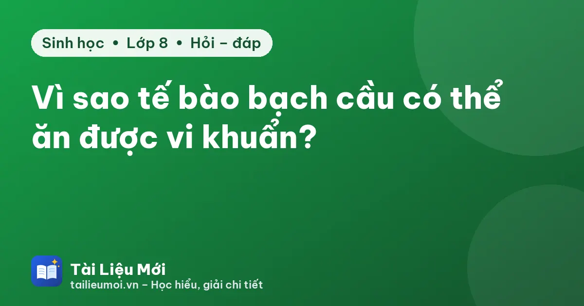 Vì sao tế bào bạch cầu có thể ăn được vi khuẩn?