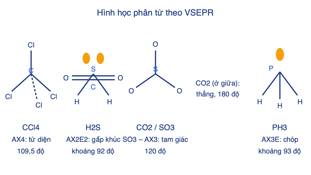 Sơ đồ dạng hình học của CCl4, H2S, CO2, SO3 và PH3 theo mô hình VSEPR