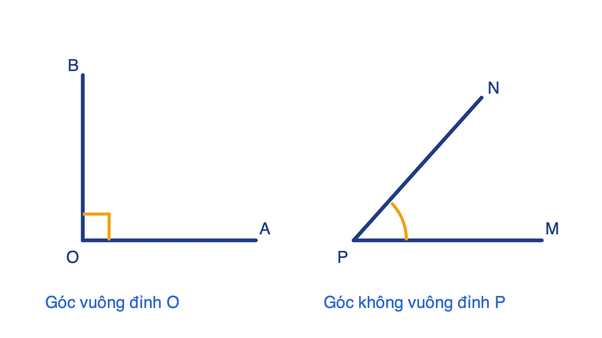 Hình góc vuông đỉnh O và góc không vuông đỉnh P