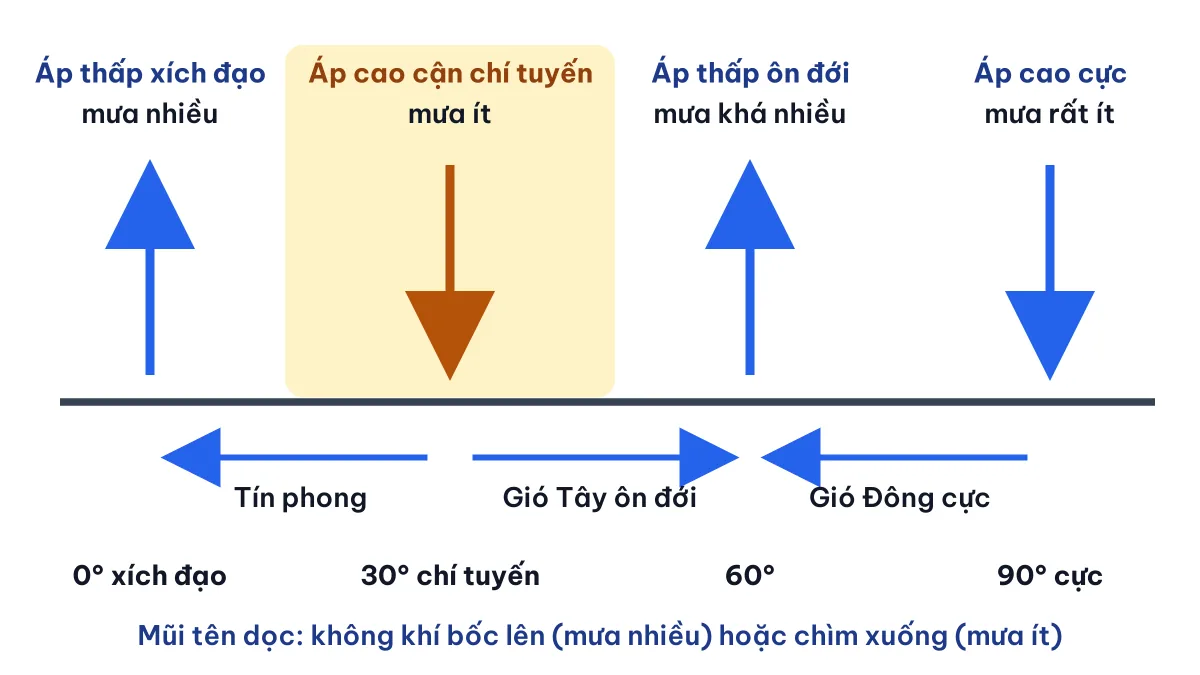 Sơ đồ đai khí áp và gió theo vĩ độ cho thấy vùng chí tuyến có mưa tương đối ít do áp cao