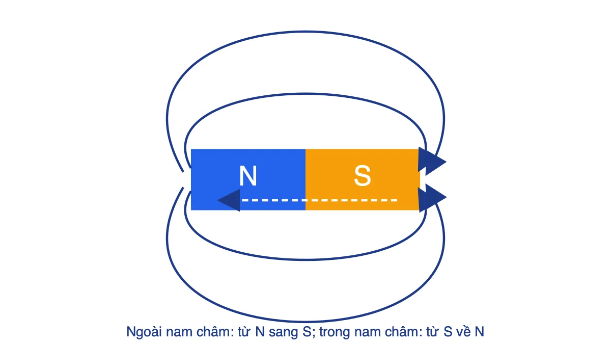 Đường sức từ của nam châm thẳng: ngoài đi từ cực Bắc sang cực Nam, trong đi từ cực Nam về cực Bắc