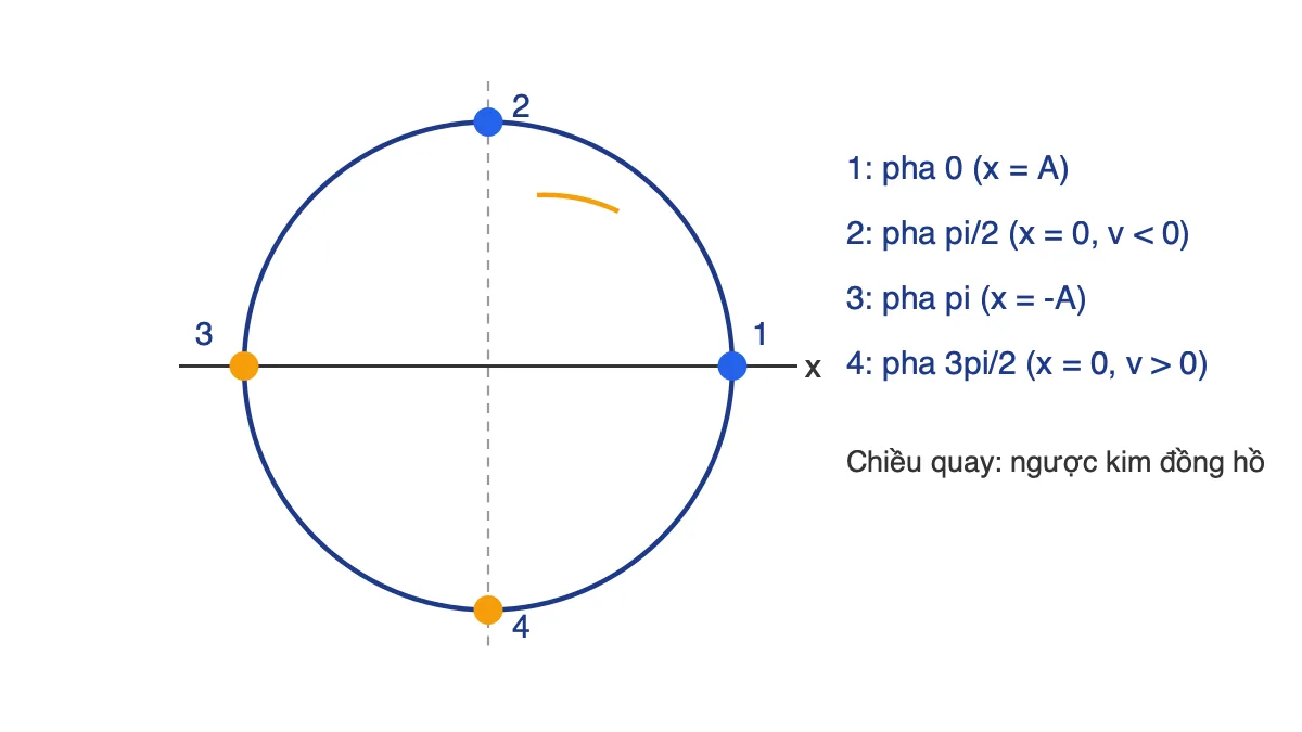 Đường tròn lượng giác với bốn vị trí 1, 2, 3, 4 ứng với pha 0, pi/2, pi, 3pi/2 của dao động điều hòa