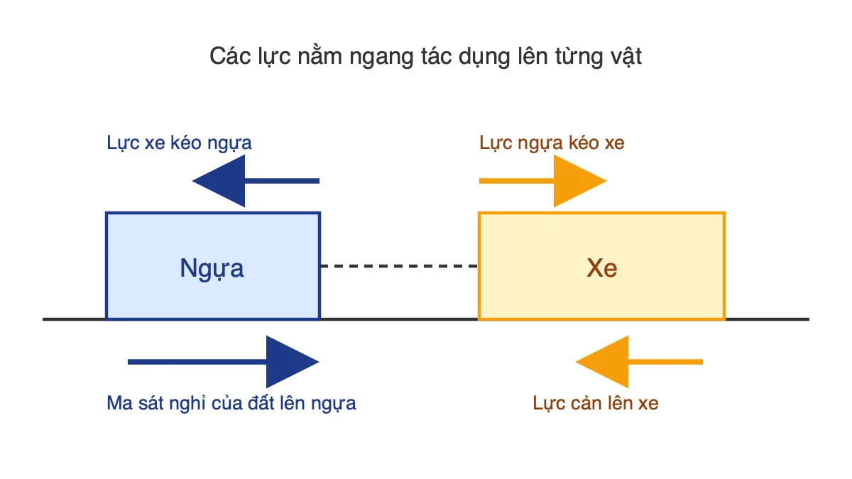 Sơ đồ lực nằm ngang tác dụng lên ngựa và xe khi ngựa kéo xe